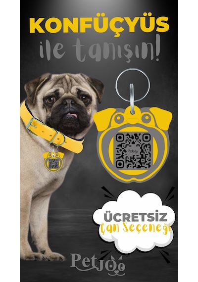 Petjoo 9.Konfüçyüs Gri-Sarı Qr'lı Köpek Künyesi