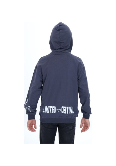 Toontoy Kids Toontoy Erkek Çocuk Baskılı Sweatshirt Füme