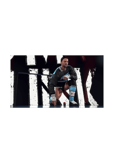 Take 2 Wwe 2k26 Switch 2 Oyun Game Key Card