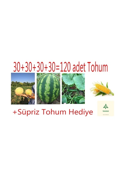 4'lü Set Bal Kavun-diyarbakır Karpuzu-yerli Badem Hıyar-haşlamalık Süt Darısı 120 Adet Tohum