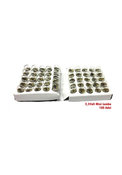 Electroon Mini Lamba 2.5Volt - 100 Adet
