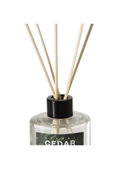 Mudo Home Gloomy Cedar Oda Kokusu 95 Ml Sedir Ağacı