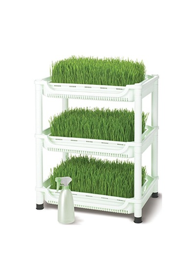 Tribest Sproutman'S Topraksız Buğday Çimi Yetiştiricisi Çok Renkli