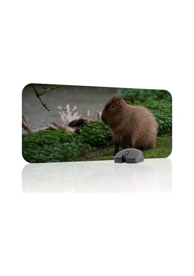 Capybara Kaymaz Dikişli Kauçuk Oyuncu Mousepad V5 - 70x30 Xl Gaming Mouse Pad Fare Altlığı