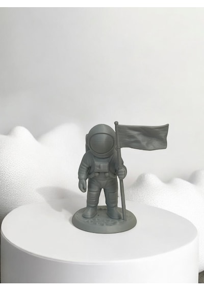 Astronot Siyah Pla Doğal Malzeme Oyuncak 13cm Balık
