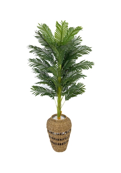 Biçiçek Areka Palmi̇yesi̇ 160 Cm İskandi̇nav Tarz Hasir Saksıda
