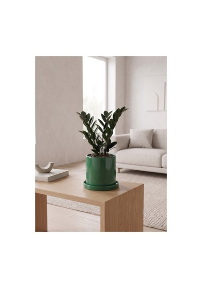 Romeo Seramik Saksı Parlak Yeşil Jade Green Tabaklı Çap:15cm Yük:15cm