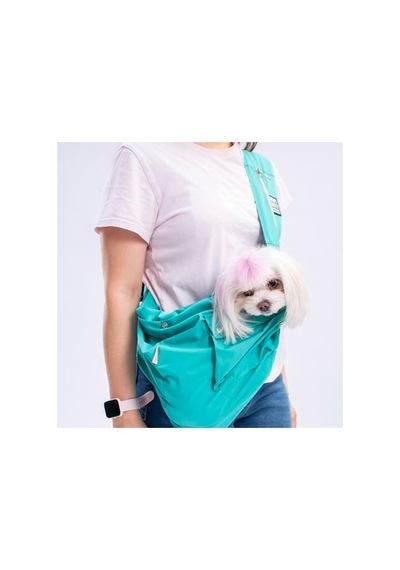 571 Collections Küçük Irk Köpekler İçin Çapraz Taşıma Çantası Açık Altın