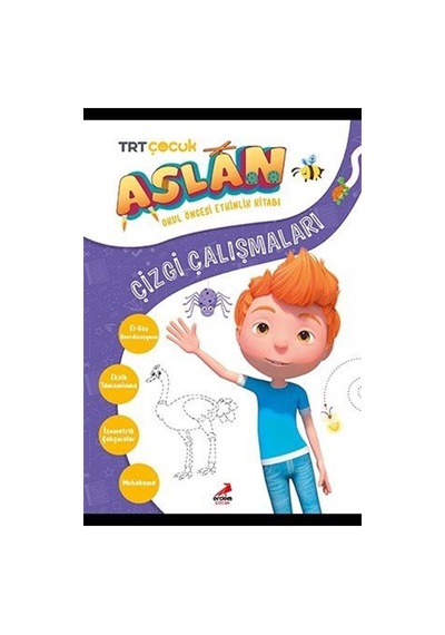 Aslan Çizgi Çalışmaları