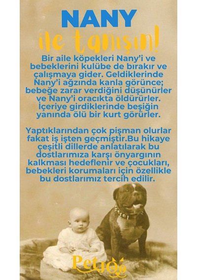 Petjoo 17.Nany Sarı-Mavi Qr'lı Köpek Künyesi