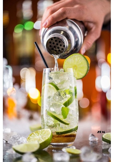 Zem Çelik Shaker 500 Cl.