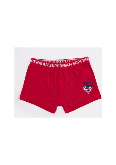 Superman Lisanslı Erkek Çocuk 2'li Boxer Seti Çok Renkli