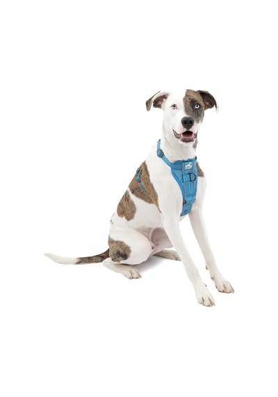 Köpek Koşum Takımı Pet Walking Koşum Takımı No Pull Koşum Ön Klips Fonksiyonu Antrenman İçin Araç Emniyet Kemeri Tru-fit Hızlı Kilit Tarzı Orta Mavi