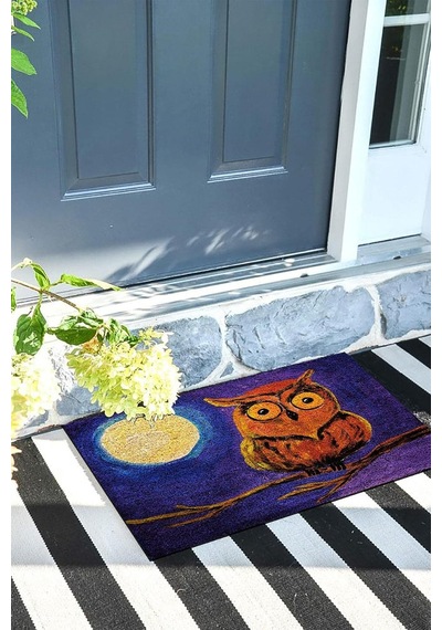 Tr Baykuş Kapı Önü Paspası Dekoratif Kapı Paspası Dış Mekân Paspas Ev İçi Paspası 45x70cm Diğer