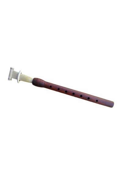 ERİK MEY ORTA BOY 29 CM - SOL + KAMIŞ HEDİYE