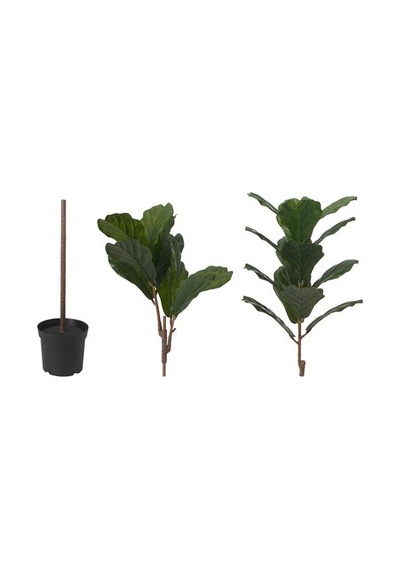 Ikea Fejka Yapay Bitki, Yeşil, 19 Cm, İç/dış Mekan Pandora Kauçuğu Bitkisi
