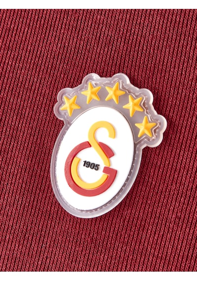 Gsstore Galatasaray Erkek Polo T-shirt E252103 Bordo