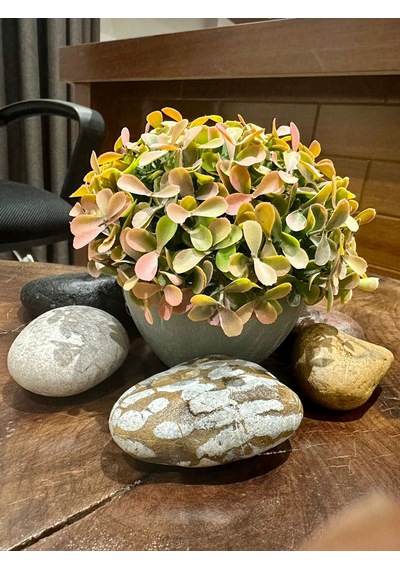 Modern Gri Saksıda Gerçekçi Yapay Dekoratif Bitki 17 X13 Cm Ev Ve Ofis Dekoru Çok Renkli