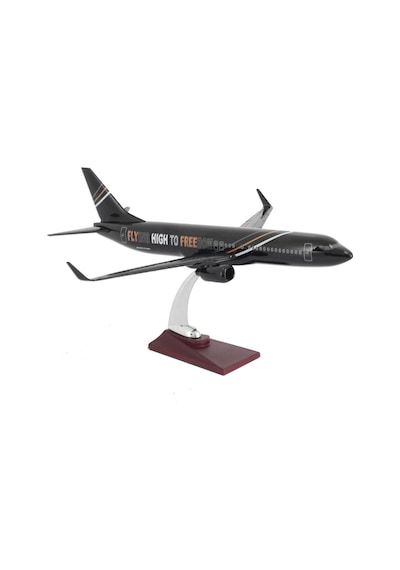 Zekupp Boeing 737-800 1/100 Ölçek FHTF Sloganlı Model Uçak