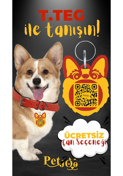 Petjoo 15.T.Teg Sarı-Kırmızı Qr'lı Köpek Künyesi