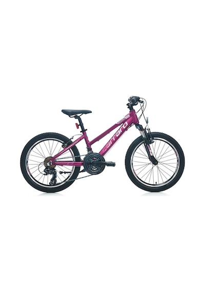 Carraro Force 201 Kız Çocuk Dağ Bisikleti 250h V 20 Jant 21 Vites Mat Mürdüm Pembe Çok Renkli