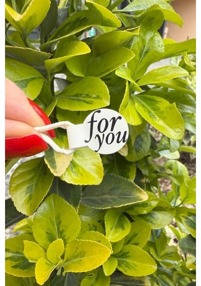 For You Model1 Krem Rengi İp Fitil Etiketi 100 Adet