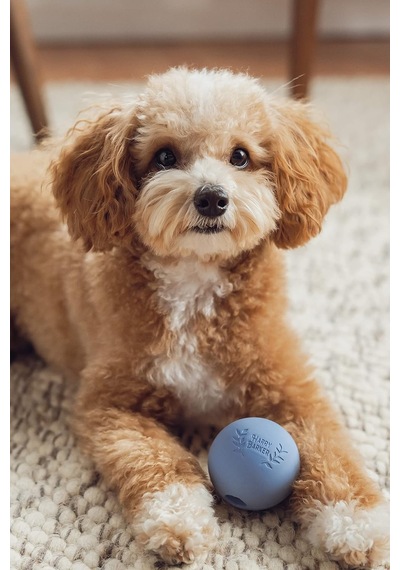 Ayrex Harry Barker Kauçuk Toplar Ve Kauçuk Çiğneme Çubuğu, Köpekler İçin Kauçuk Kemik - 2,5 İnç Kauçuk Toplar