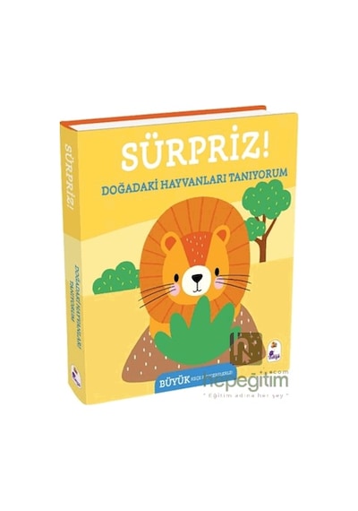 Sürpriz Doğadaki Hayvanları Tanıyorum