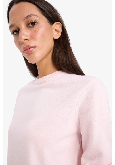 Defacto Relax Fit Bisiklet Yaka Triko Kazak C0058ax25wnpn648 Pembe Defacto Relax Fit Bisiklet Yaka Triko Kazak C0058ax25wnpn648 Pembe