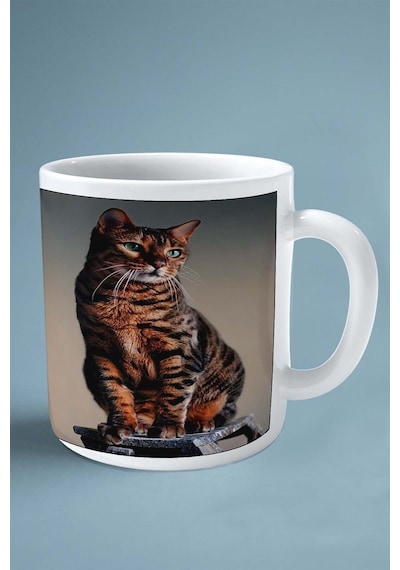 Bengal Kedi İsimli Kişiye Özel Baskılı Kupa Bardak Yeşil Göz Yuva Çok Renkli
