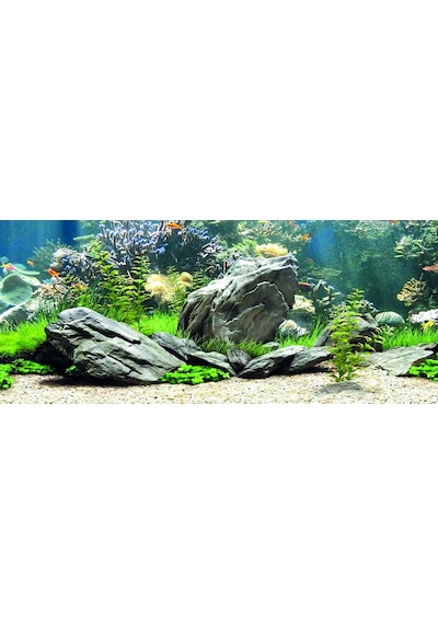 Kanki Pet Kp1556534 Akvaryum Arka Fon Yapıştırma 155 X 65 Cm