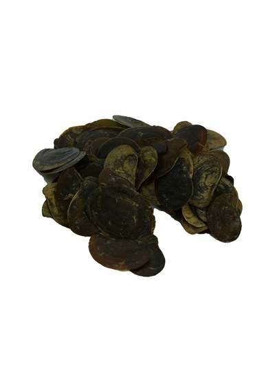 Lokman Avm Cin Tırnağı 100 G