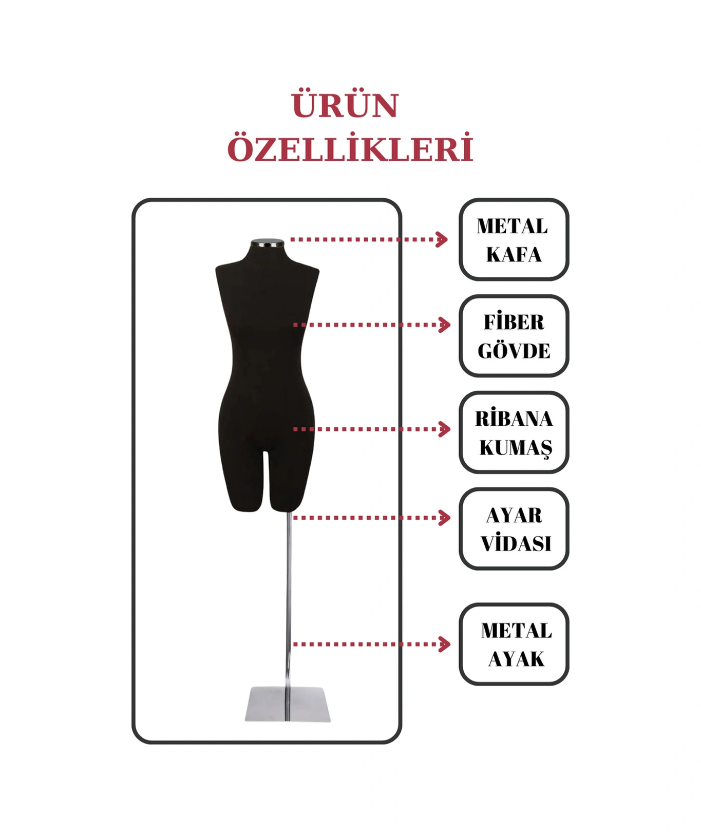 Ekonomik Pantolon Giyebilen Terzi Mankeni Vitrin Mankeni 36-38-40-42-44-46 Beden Seçeneği İst1