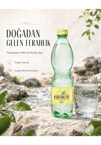 Nabeghlavi Doğal Mineralli Su 500 ML 12'li Koli