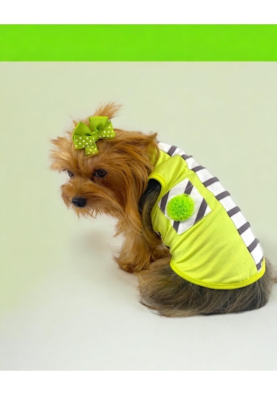 Lime Fuzz Atlet Köpek Kıyafeti Köpek Elbisesi
