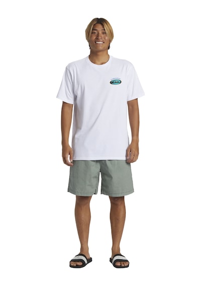 Quıksılver Quiksilver Taxer Erkek Walkshort Gri 18563 Çok Renkli