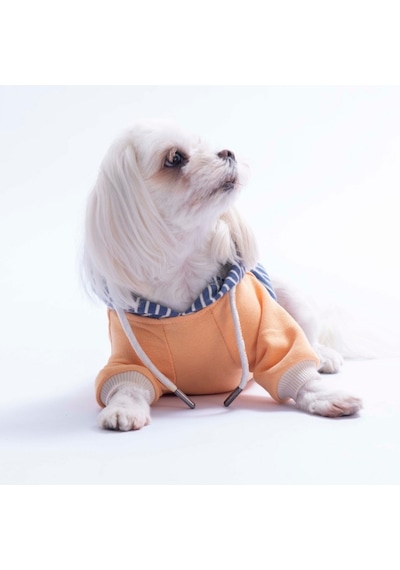Somon Sera Stripe Köpek Hoodie Köpek Sweat Köpek Kıyafeti Kedi Kıyafeti