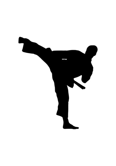 Karate Sticker 20 X 22 Cm
