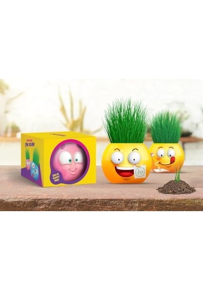 Yuup Emoji Temalı Çim Adam 6'lı Set Çocuklar İçin Eğitici Ve Eğlenceli Bitki Yetiştirme Kiti