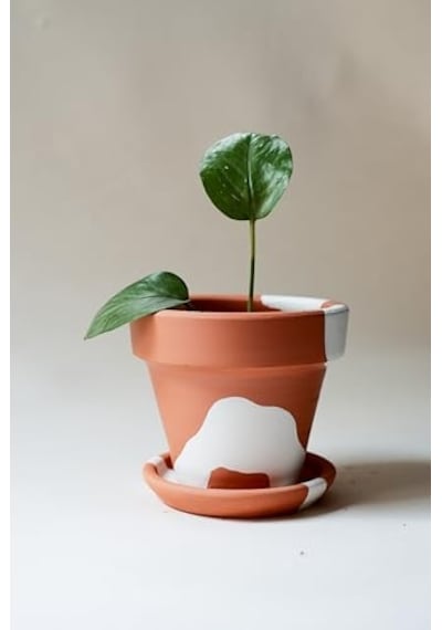Terracotta Konik Saksı+tabak Bohem Beyaz Küçük