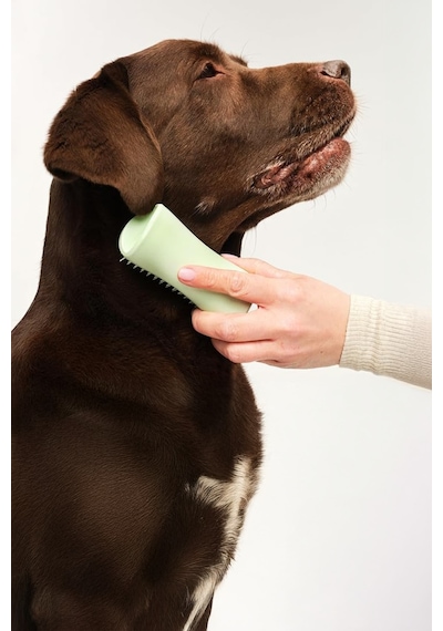 Tangle Teezer Pet Puppy Brush Grooming Green Köpek Bakım Fırçası