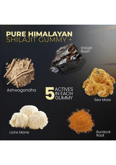 Shilajit Sourced Sea Moss + Lion's Mane Watermelon 60 Gummies