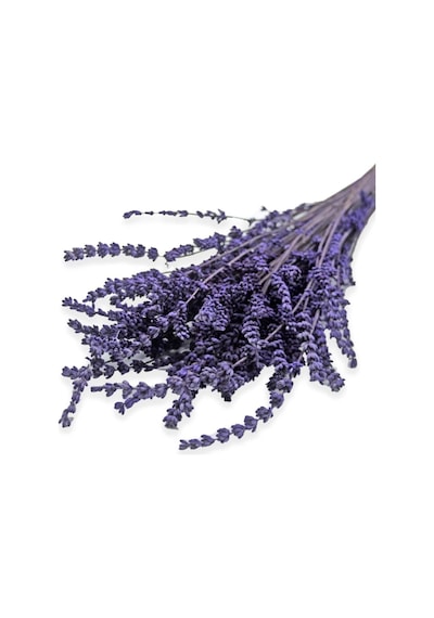 Kurutulmuş Lavanta Demeti 40-50 Cm 3 Adet 200-300 Dal Diğer