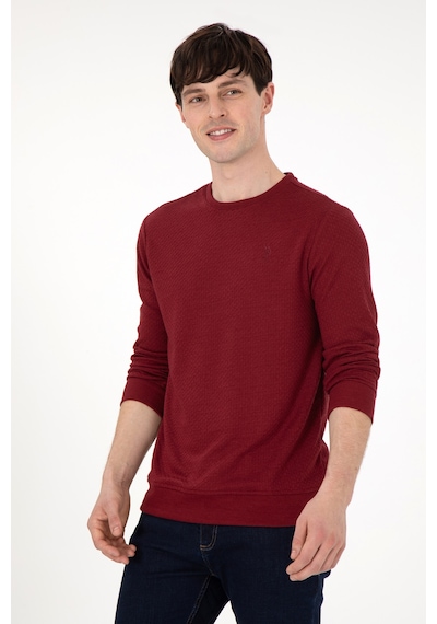 U.S. Polo Assn. Erkek Regular Fit Bisiklet Yaka Bordo Sweatshirt 50290063-VR014 U.S. Polo Assn. Erkek Regular Fit Bisiklet Yaka Bordo Sweatshirt 50290063-VR014