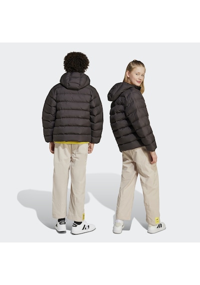 Adidas The Simpsons Çocuk Bej Pantolon Jl9182 Krem