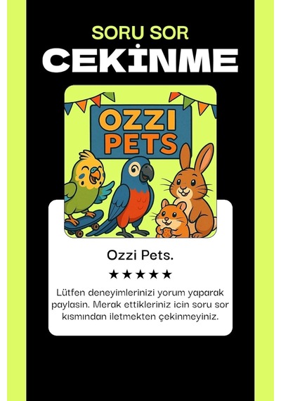 Muhabbet Kuşu Zilli Oyun Topu 4 Adet