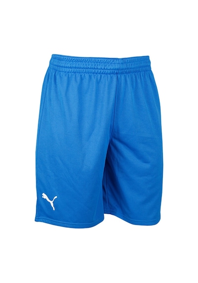 Puma Turkey Practice Short Erkek Türkiye Basketbol Şortu 60547201 Mavi 60547201 Mavi