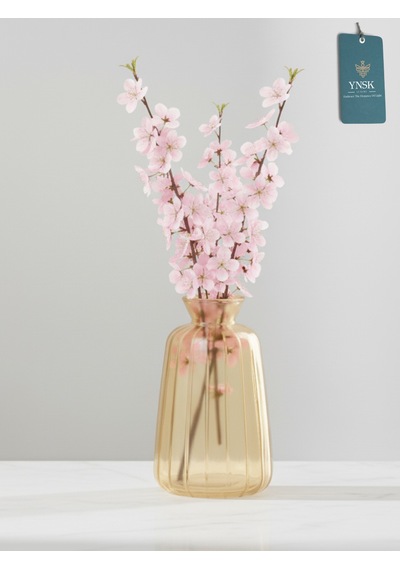 Chacha Home Modern 3'lü Minimalist Cam Çiçek Vazosu Dekoratif Masa Üstü Vazo Seti Bal