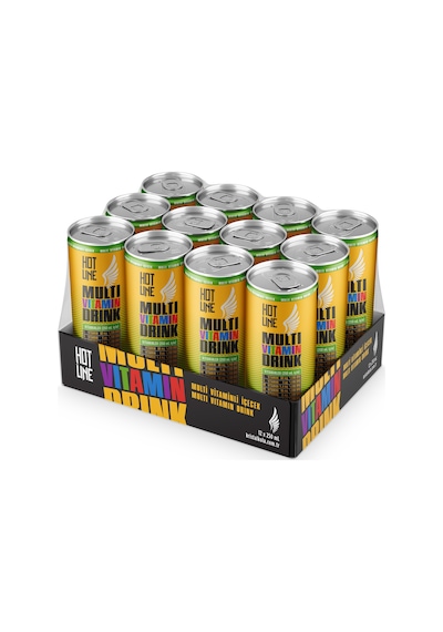 Hotline Multivitaminli İçecek 250 ml 12'li