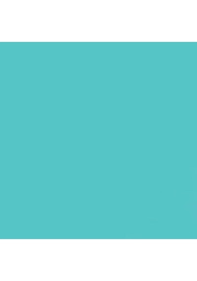 Gdx Seyyar Kağıt Sonsuz Stüdyo Fon Perde Baby Blue 2.70x11 Mt